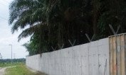 Cast lightweight concrete wall on site